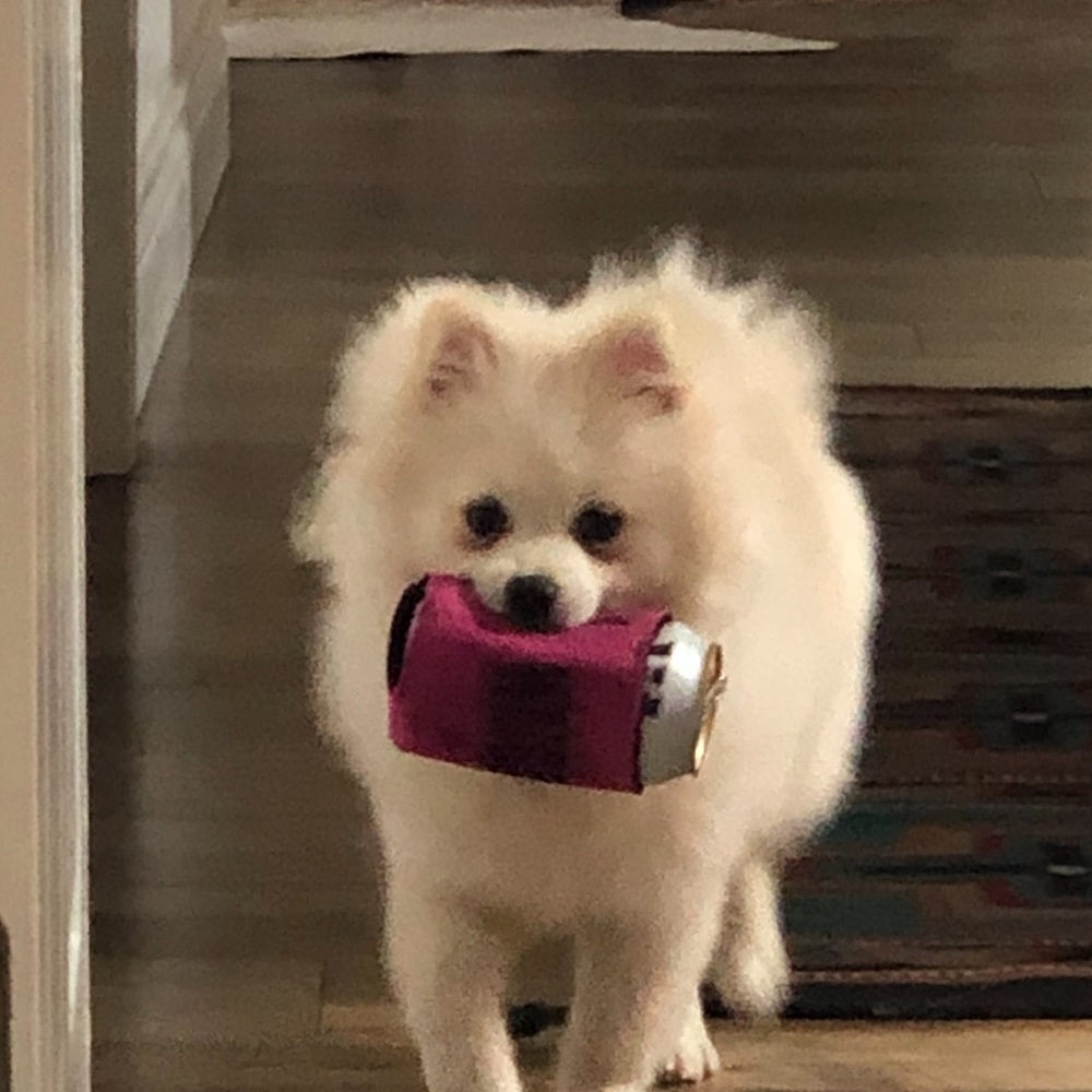 Meet your Posher, Christine